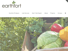Tablet Screenshot of earthfort.com